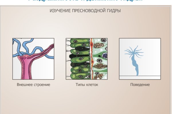 Где заказать наркотики