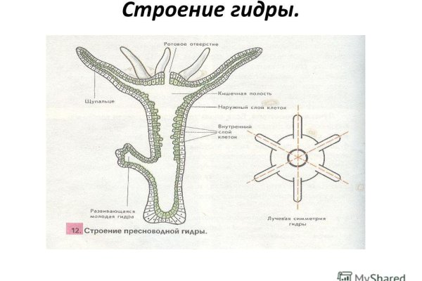 Кракен ссылка onion