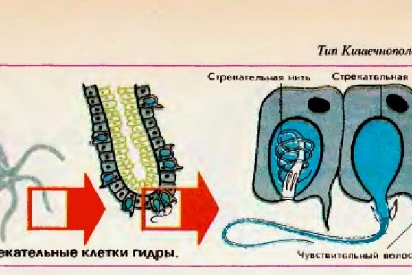 Кракен даркнет маркет ссылка на сайт тор